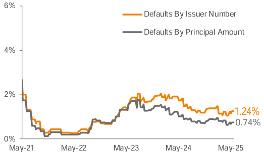 Lagging 12 Month Default Rate 3