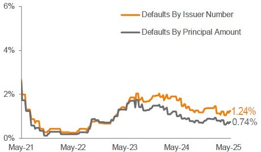Lagging 12 Month Default Rate 3