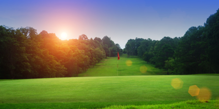 Article: Driving the Green: A Case Study in Creating Value with Private Equity