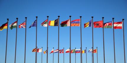 Article: Are International Small Caps Poised for a Turnaround?