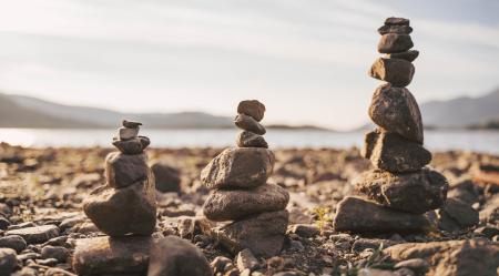 Article: Stability Scarcity: Why Markets Are Paying More for Predictable Cash Flows 