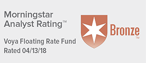 Voya financial investment options
